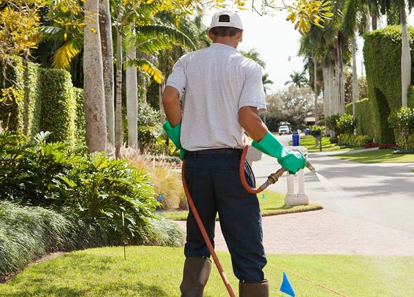 About Delano PA Pest Control